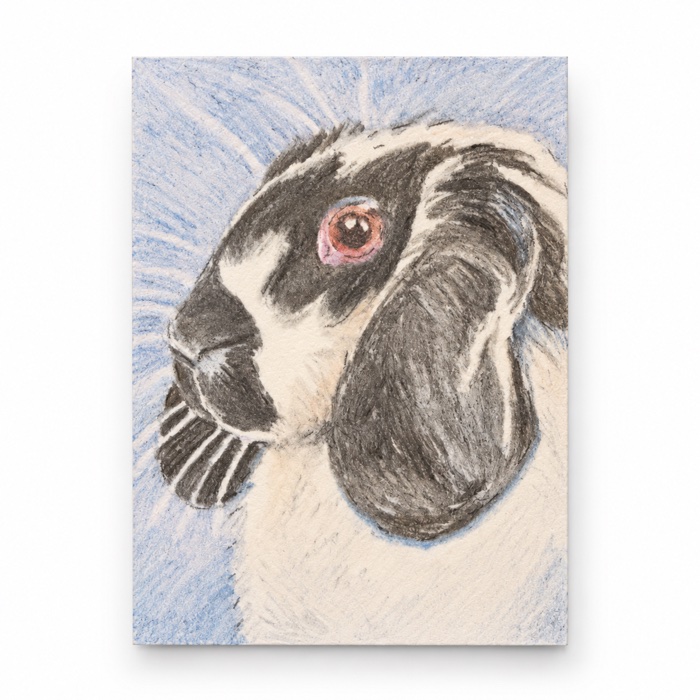 Completed example of the Charlie the Lop drawing: a black and white lop-eared rabbit on a blue background, in colored pencil on a trading-card-sized art card